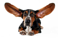  ������ ����� ����������� ����� ����� �������� ����� ��� 