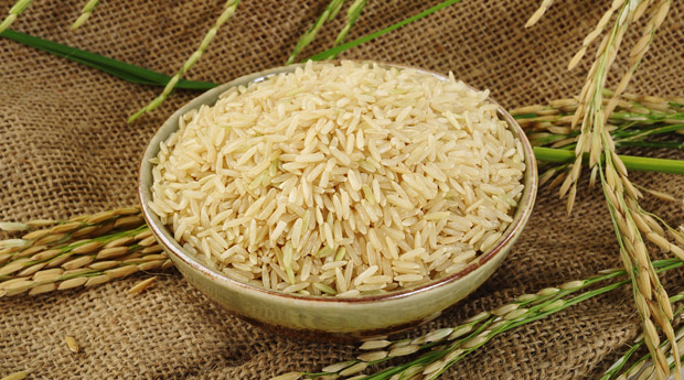  ��� ���� ������� ������ ����� ���� ����� �������� 